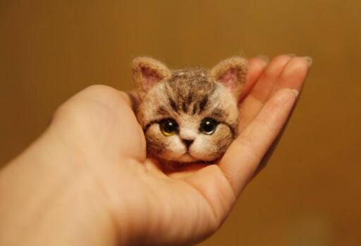 可爱实用的喵咪头像，喵星人图片