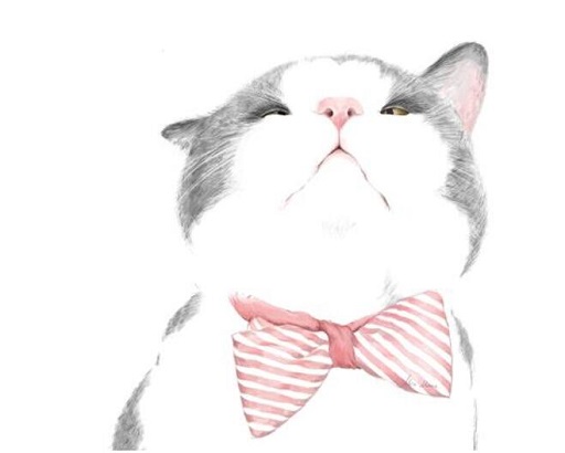 可爱实用的喵咪头像，喵星人图片