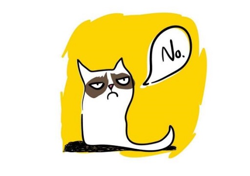 可爱实用的喵咪头像，喵星人图片