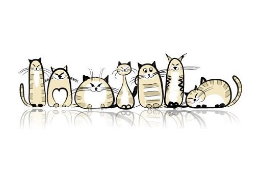 可爱实用的喵咪头像，喵星人图片